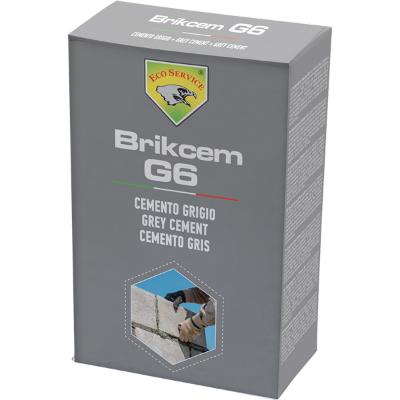 G6550 BRIKCEM G6 1 kg